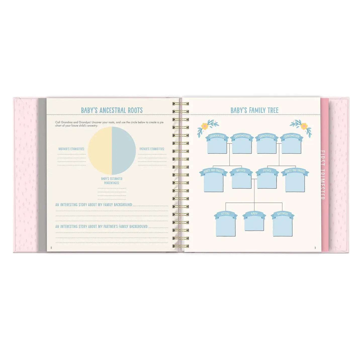 Bump for Joy Pregnancy Journal