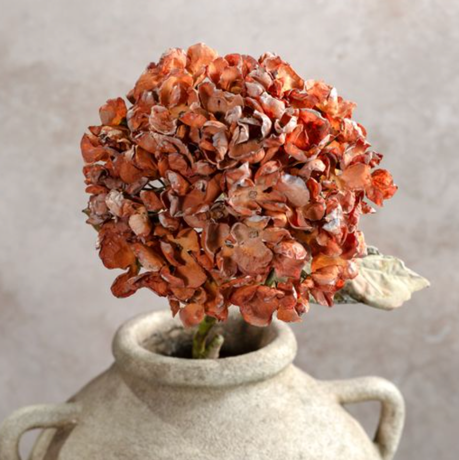 Orange Hydrangea Branch