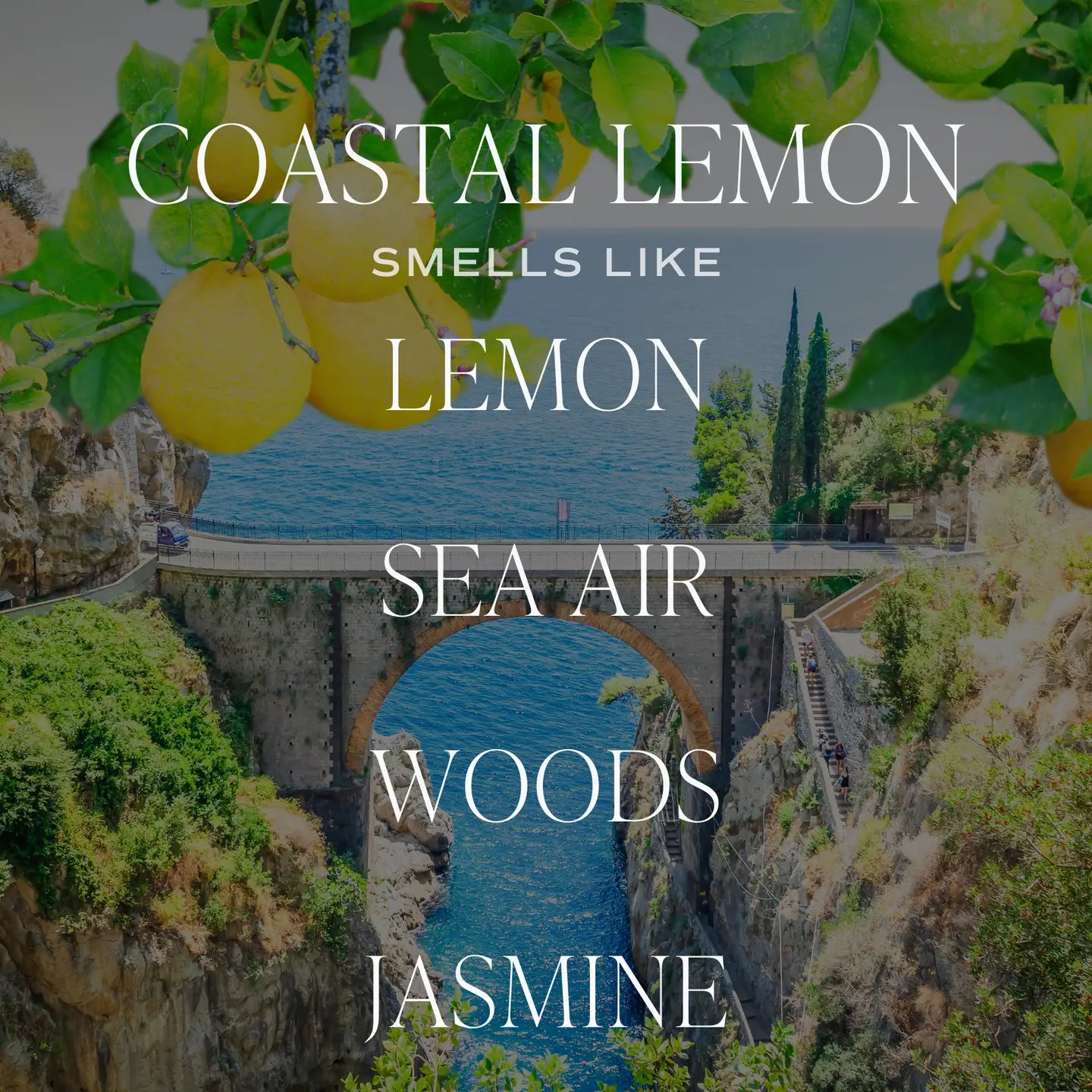 Coastal Lemon 11oz Candle