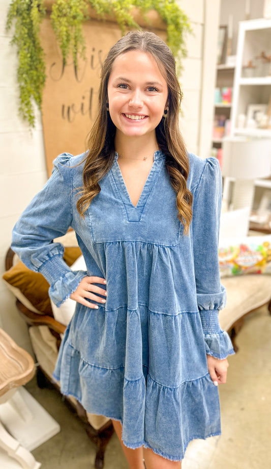 Ruffle Denim Dress