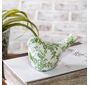 Verte Green Bird