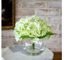 Green Hydrangea W/ Vase