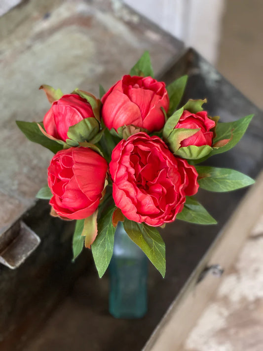Red Peony Bundle