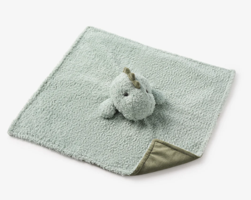 Dinosaur Baby Blanket