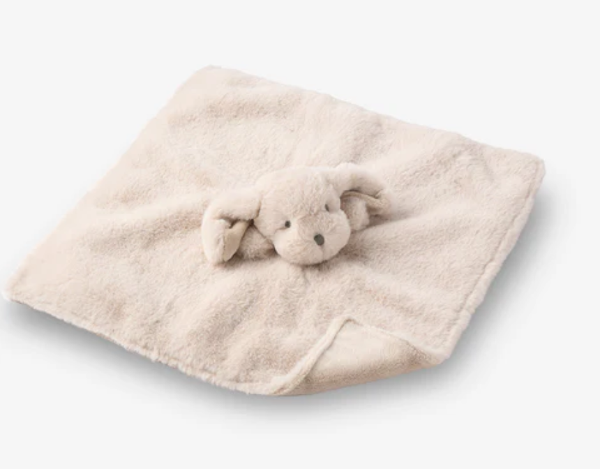 Puppy Baby Blanket