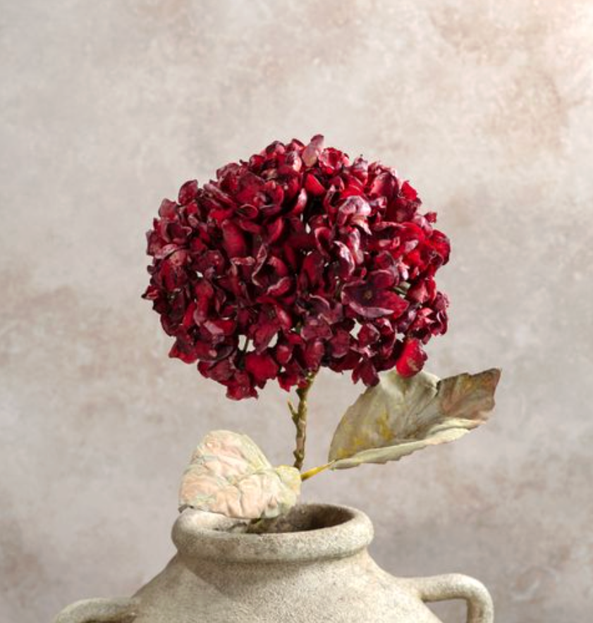 Burgundy Hydrangea Branch