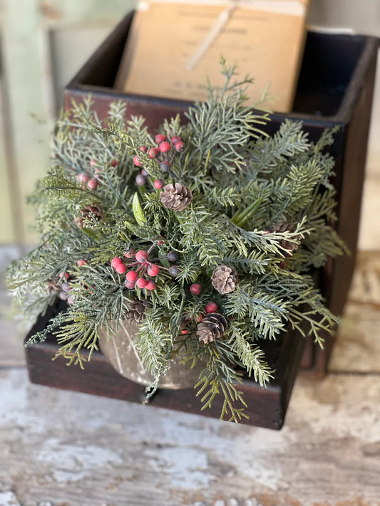 Siberian Cypress Half Sphere