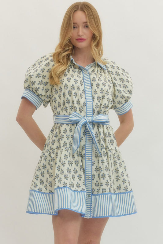 Bluebell Stripe Blossom Dress